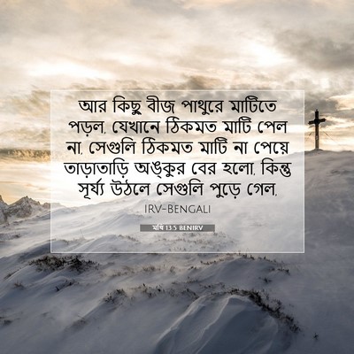 Picture 07 - মথি 13:5 BENIRV - আর কিছু বীজ পাথুরে - Bible Verse Picture