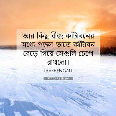 Picture 07 - মথি 13:7 BENIRV - আর কিছু বীজ - Bible Verse Picture