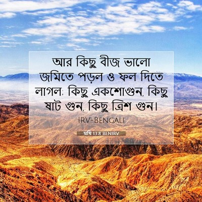 Picture 07 - মথি 13:8 BENIRV - আর কিছু বীজ ভালো - Bible Verse Picture