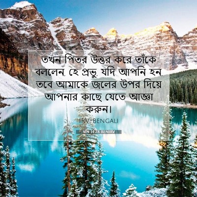 Picture 07 - মথি 14:28 BENIRV - তখন পিতর উত্তর করে - Bible Verse Picture