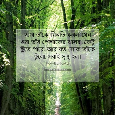 Picture 07 - মথি 14:36 BENIRV - আর তাঁকে মিনতি করল, - Bible Verse Picture
