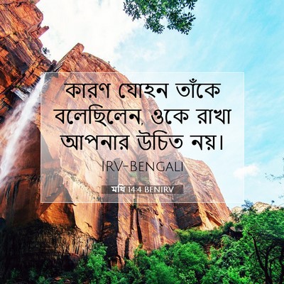 Picture 07 - মথি 14:4 BENIRV - কারণ যোহন তাঁকে - Bible Verse Picture