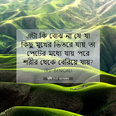 Picture 07 - মথি 15:17 BENIRV - এটা কি বোঝ না যে, যা - Bible Verse Picture