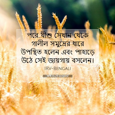Picture 07 - মথি 15:29 BENIRV - পরে যীশু সেখান - Bible Verse Picture