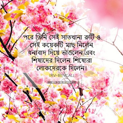 Picture 07 - মথি 15:36 BENIRV - পরে তিনি সেই - Bible Verse Picture