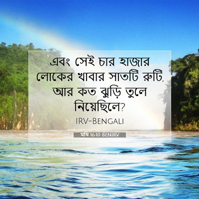 Picture 07 - মথি 16:10 BENIRV - এবং সেই চার হাজার - Bible Verse Picture