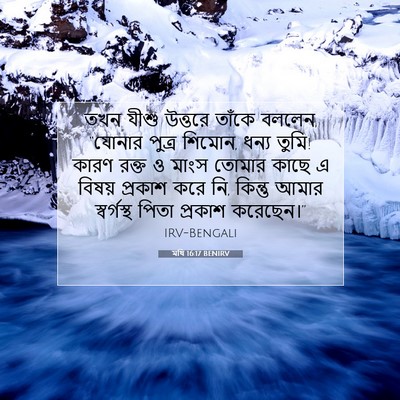 Picture 07 - মথি 16:17 BENIRV - তখন যীশু উত্তরে - Bible Verse Picture