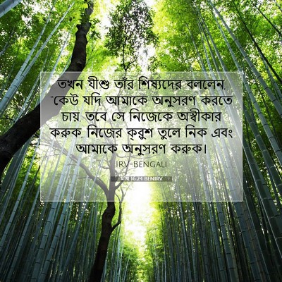 Picture 07 - মথি 16:24 BENIRV - তখন যীশু তাঁর - Bible Verse Picture