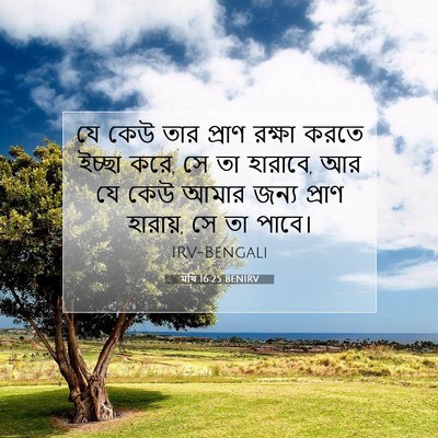 Picture 07 - মথি 16:25 BENIRV - যে কেউ তার প্রাণ - Bible Verse Picture