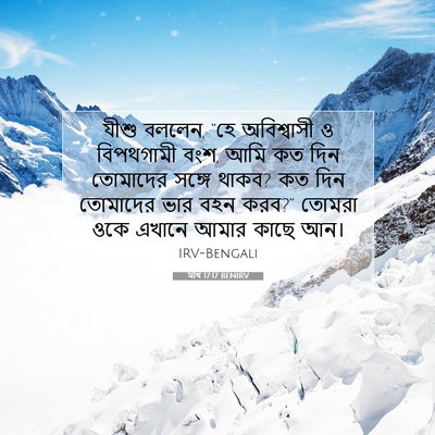 Picture 07 - মথি 17:17 BENIRV - যীশু বললেন, “হে - Bible Verse Picture