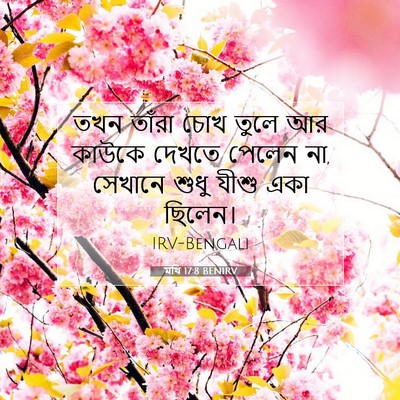 Picture 07 - মথি 17:8 BENIRV - তখন তাঁরা চোখ তুলে - Bible Verse Picture