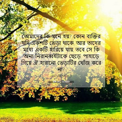 Picture 07 - মথি 18:12 BENIRV - তোমাদের কি মনে হয়? - Bible Verse Picture