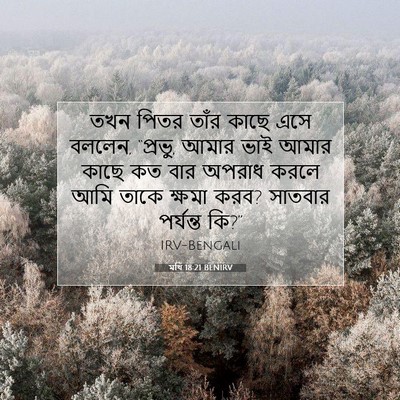 Picture 07 - মথি 18:21 BENIRV - তখন পিতর তাঁর কাছে - Bible Verse Picture
