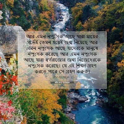 Picture 07 - মথি 19:12 BENIRV - আর এমন নপুংসক আছে, - Bible Verse Picture