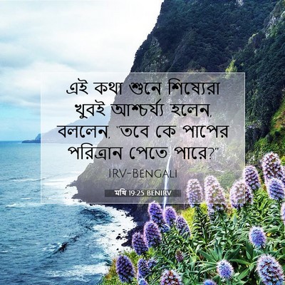 Picture 07 - মথি 19:25 BENIRV - এই কথা শুনে - Bible Verse Picture