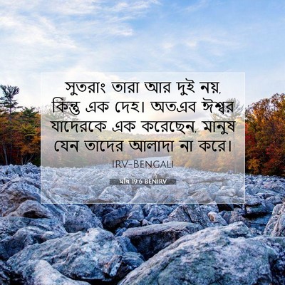 Picture 07 - মথি 19:6 BENIRV - সুতরাং তারা আর দুই - Bible Verse Picture
