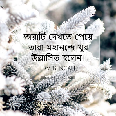 Picture 07 - মথি 2:10 BENIRV - তারাটি দেখতে - Bible Verse Picture