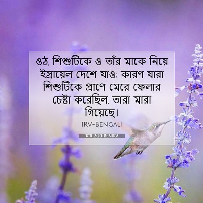 Picture 07 - মথি 2:20 BENIRV - ওঠ, শিশুটিকে ও তাঁর - Bible Verse Picture