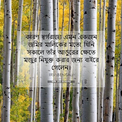 Picture 07 - মথি 20:1 BENIRV - কারণ স্বর্গরাজ্য - Bible Verse Picture