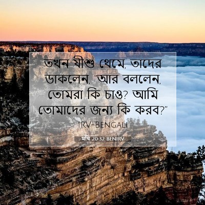 Picture 07 - মথি 20:32 BENIRV - তখন যীশু থেমে, - Bible Verse Picture