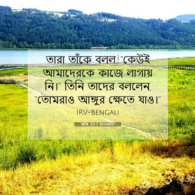 Picture 07 - মথি 20:7 BENIRV - তারা তাঁকে বলল, - Bible Verse Picture