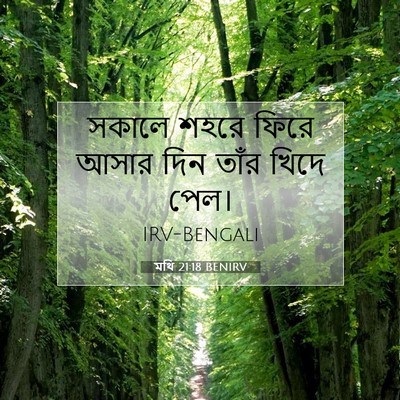 Picture 07 - মথি 21:18 BENIRV - সকালে শহরে ফিরে - Bible Verse Picture