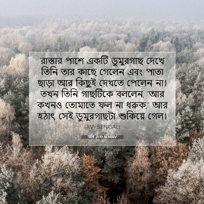 Picture 07 - মথি 21:19 BENIRV - রাস্তার পাশে একটি - Bible Verse Picture
