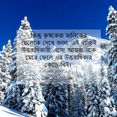 Picture 07 - মথি 21:38 BENIRV - কিন্তু কৃষকেরা - Bible Verse Picture
