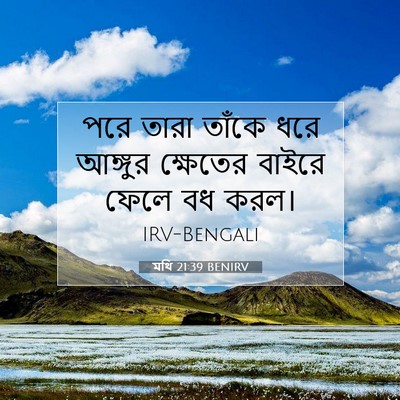 Picture 07 - মথি 21:39 BENIRV - পরে তারা তাঁকে ধরে - Bible Verse Picture