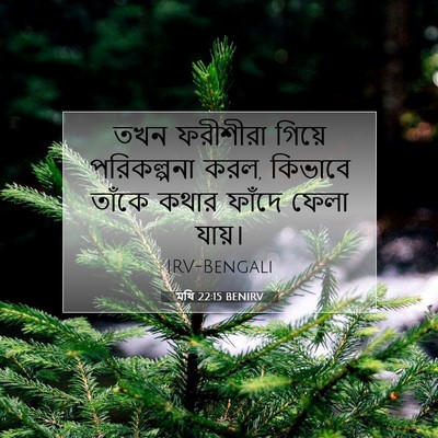Picture 07 - মথি 22:15 BENIRV - তখন ফরীশীরা গিয়ে - Bible Verse Picture