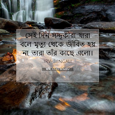 Picture 07 - মথি 22:23 BENIRV - সেই দিন সদ্দূকীরা, - Bible Verse Picture