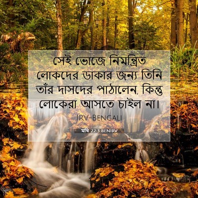 Picture 07 - মথি 22:3 BENIRV - সেই ভোজে - Bible Verse Picture