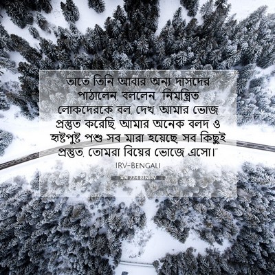 Picture 07 - মথি 22:4 BENIRV - তাতে তিনি আবার - Bible Verse Picture