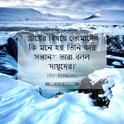 Picture 07 - মথি 22:42 BENIRV - “খ্রীষ্টের বিষয়ে - Bible Verse Picture