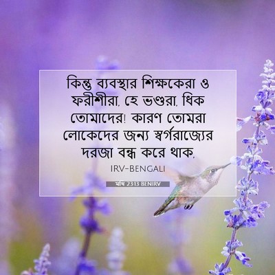 Picture 07 - মথি 23:13 BENIRV - কিন্তু ব্যবস্থার - Bible Verse Picture
