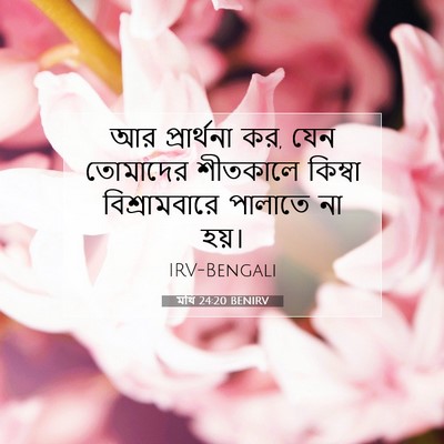 Picture 07 - মথি 24:20 BENIRV - আর প্রার্থনা কর, - Bible Verse Picture