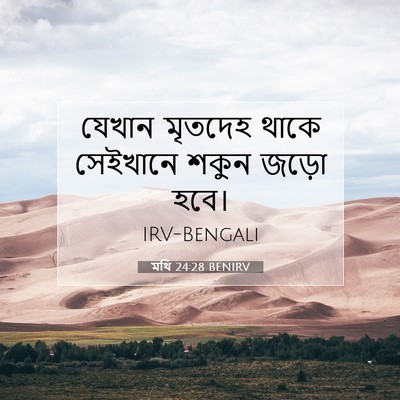 Picture 07 - মথি 24:28 BENIRV - যেখান মৃতদেহ থাকে - Bible Verse Picture