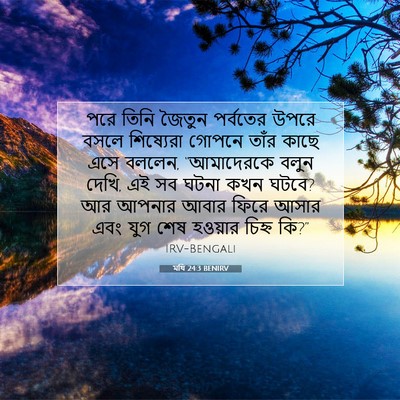 Picture 07 - মথি 24:3 BENIRV - পরে তিনি জৈতুন - Bible Verse Picture