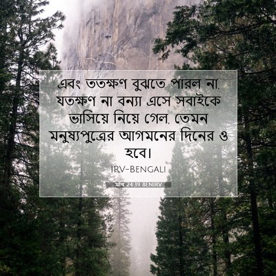 Picture 07 - মথি 24:39 BENIRV - এবং ততক্ষণ বুঝতে - Bible Verse Picture