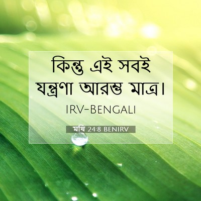 Picture 07 - মথি 24:8 BENIRV - কিন্তু এই সবই - Bible Verse Picture