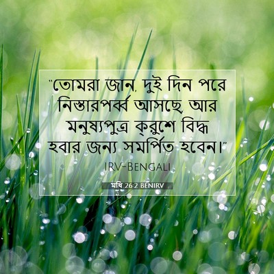 Picture 07 - মথি 26:2 BENIRV - “তোমরা জান, দুই দিন - Bible Verse Picture