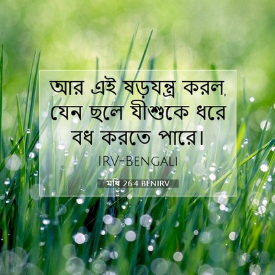 Picture 07 - মথি 26:4 BENIRV - আর এই ষড়যন্ত্র - Bible Verse Picture