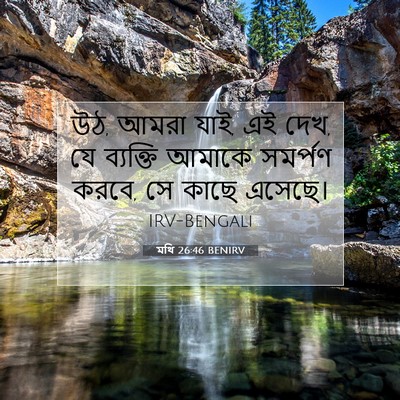 Picture 07 - মথি 26:46 BENIRV - উঠ, আমরা যাই, এই দেখ, - Bible Verse Picture
