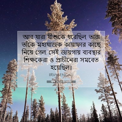 Picture 07 - মথি 26:57 BENIRV - আর যারা যীশুকে - Bible Verse Picture