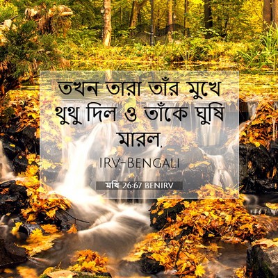 Picture 07 - মথি 26:67 BENIRV - তখন তারা তাঁর মুখে - Bible Verse Picture
