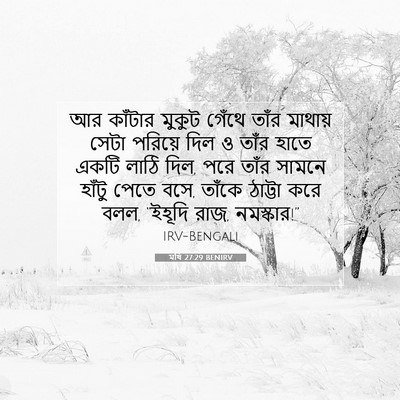 Picture 07 - মথি 27:29 BENIRV - আর কাঁটার মুকুট - Bible Verse Picture