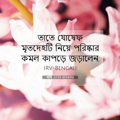 Picture 07 - মথি 27:59 BENIRV - তাতে যোষেফ - Bible Verse Picture