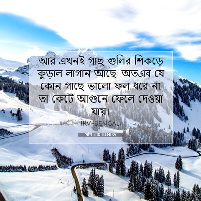 Picture 07 - মথি 3:10 BENIRV - আর এখনই গাছ গুলির - Bible Verse Picture