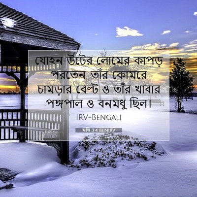 Picture 07 - মথি 3:4 BENIRV - যোহন উটের লোমের - Bible Verse Picture