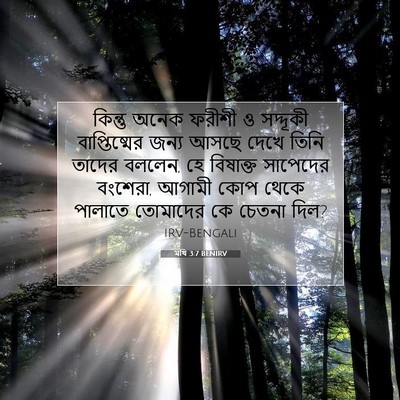 Picture 07 - মথি 3:7 BENIRV - কিন্তু অনেক ফরীশী - Bible Verse Picture